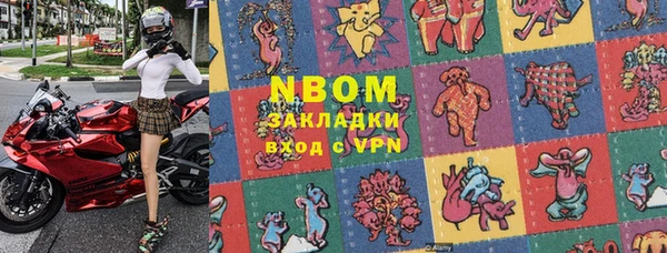 индика Алексин