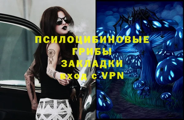 ешки Алексеевка