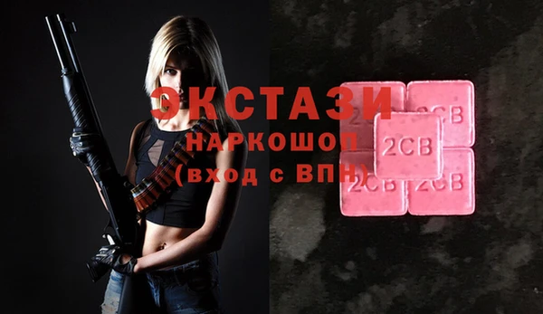 индика Алексин