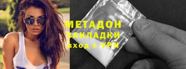 индика Алексин