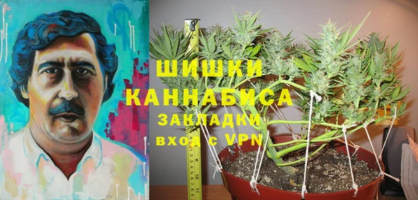 индика Алексин