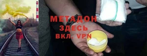 индика Алексин