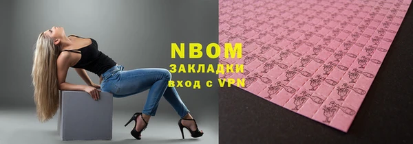 индика Алексин