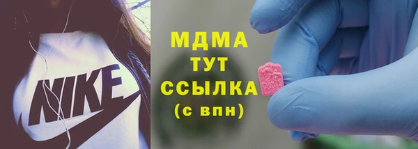 apvp Алзамай