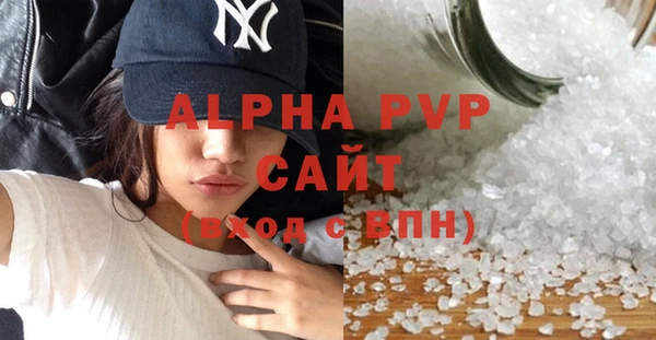 индика Алексин