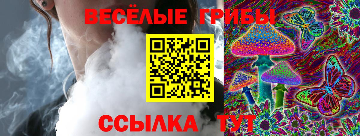 Богданович  Псилоцибиновые грибы мицелий  Псилоцибиновые грибы прущие грибы  Вход с VPN 