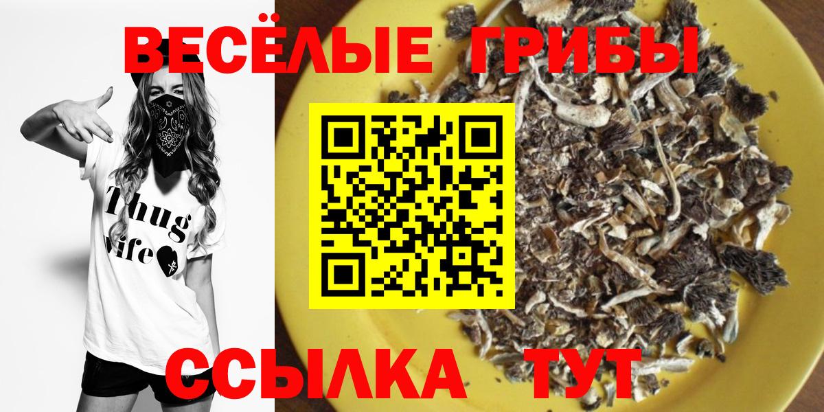 Галлюциногенные грибы MAGIC MUSHROOMS Богданович