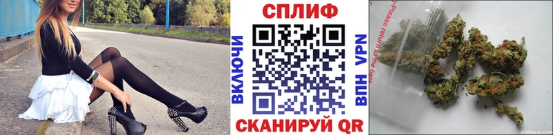 omg сайт  Богданович  Бошки марихуана семена 